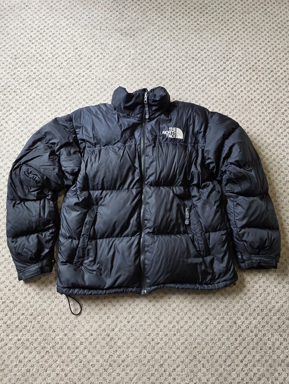 2008 The North Face 700 Down Puffer
